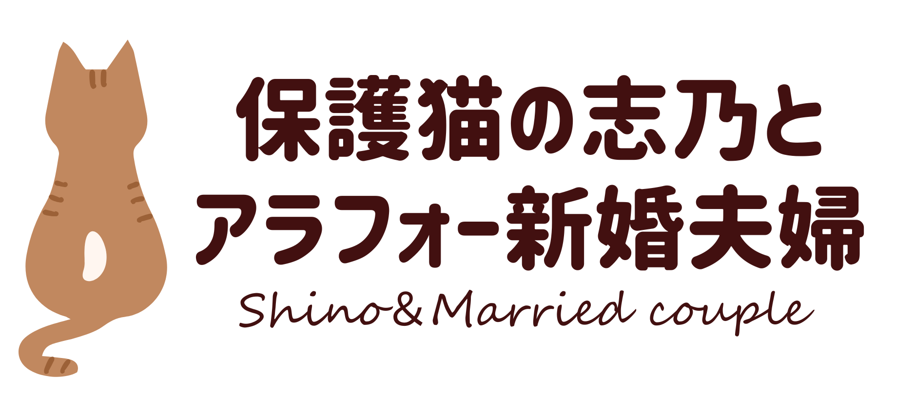 保護猫の志乃とアラフォー新婚夫婦